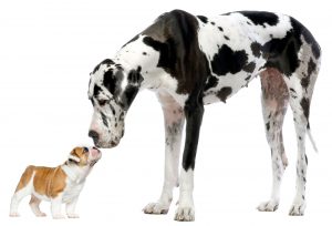 Big and Small