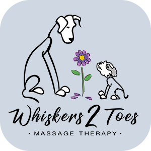 Whiskers 2 Toes LLC